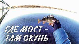 Где мост - там окунь/Where the bridge is there is yellow perch