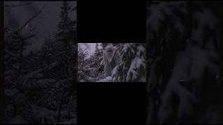 Yeti spots a trail camera #giant #beast #nightmare #scary #creepy #yeti #ai