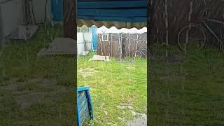 The heaviest downpour️