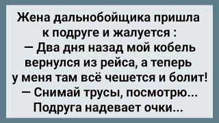 У Жены Дальнобойщика Зачесался Передок! Сборник Свежих Анекдотов! Юмор!