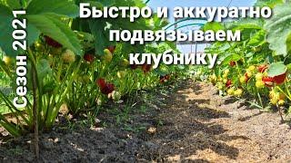 Подвязываем клубнику самым простым способом  без заморочек.