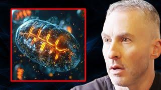 How to FIX Your Broken Mitochondria for Limitless Energy! | Dr. Ted Naiman