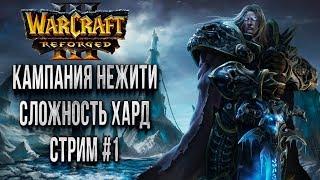 НАСЛЕДИЕ ПРОКЛЯТЫХ КАМПАНИЯ: Warcraft 3 Reforged