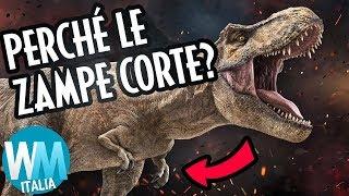 RISPOSTE alle DOMANDE più STRANE sui T-REX!