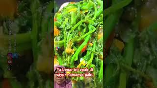 Tanaman pakis atau paku #kreatif