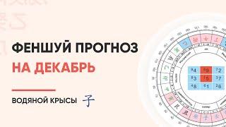 Прогноз фэншуй на декабрь месяц Водяной Крысы