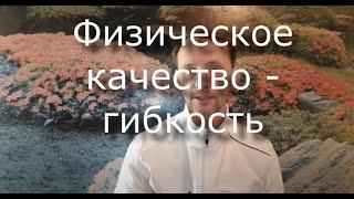 Гибкость - разбираем физическое качество