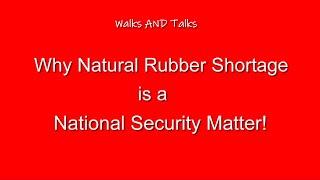 Why Natural Rubber are Deemed Strategic Material in the US & Why We are Failing at Producing Them