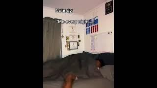 #shorts EVERY night