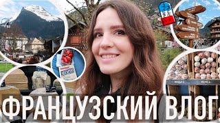 ️НЕВЕРОЯТНЫЕ АЛЬПЫ - НАШИ АТМОСФЕРНЫЕ ВЫХОДНЫЕ В ГОРАХ: МЕСТНАЯ ЕДА, ЛЕСНЫЕ ТРОПЫ И ПУГАЮЩИЙ МОСТ️