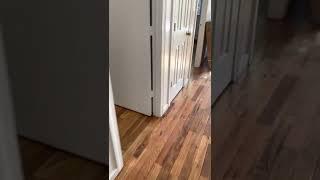 1C Missing outlet cover in dining area