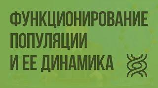 Функционирование популяции и динамика ее численности в природе. Видеоурок по биологии 9 класс