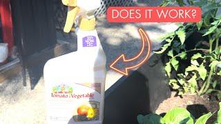 Bye Bugs! - Bonide Captain Jack's Tomato & Vegetable Spray