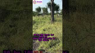50 by 100 Plots for Sale in Juja farm directy by the owner. #beibora_properties #plotsforsale
