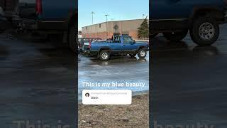 Miss the blue beauty 1/5 gen