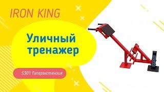 Уличный тренажер Iron King. Гиперэкстензия s301