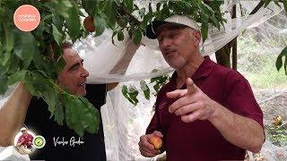 Vasilis Garden S3E14