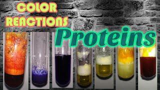 Color reactions of Proteins : Biochemistry series