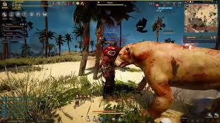 Black Desert Hunting With fists