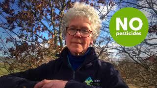 Bringing Biodiversity Back with Denise Walton, Peelham Farm, Borders