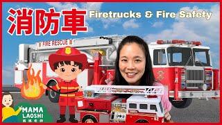 Firetrucks and Fire Safety for Kids in Chinese! 認識消防車消防員‍ 消防知識