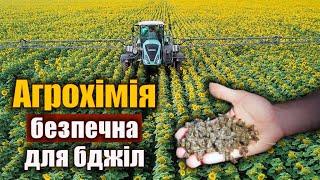 Як уникнути потрави бджіл?