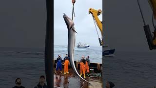 This Game Looks TOO Real! Giant Eel Hoisting Scene Feels Like a Documentary!  #SimGame