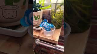 FART BOMG BAG SLOW MOTION