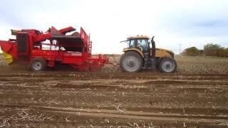 Meyer Farms | Mini Potato | Potato Harvest | Canada | #1