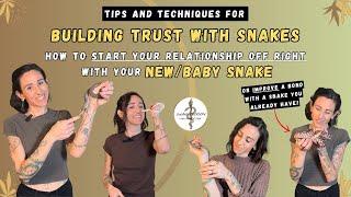 Building Trust With Your Baby And Adult Pet Snakes: Tips To Strengthen Your Bond