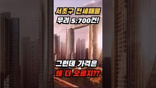 “전세 쏟아진 서초구, 메이플자이 효과로 오히려 오른다?”  #투자 #안경선배 #경매 #부동산 #강남전세 #서초구전세 #전세시장 #부동산소식