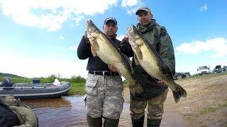 Ловля крупных судаков на Рыбинском Водохранилище .