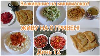 ЖИВУ НА 0 ГРИВЕН! День 12