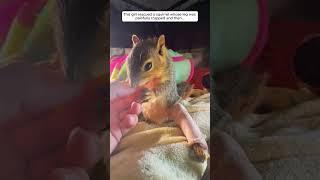 This girl rescued a squirrel whose leg was painfully trapped and then