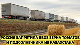 Россия запретила ввоз зерна, томатов и подсолнечника из Казахстана: Астана устроила скандал