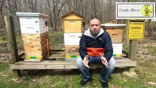 Castle Hives Channel Intro 2020