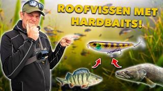 ALLES over VISSEN met HARDBAITS vanaf de KANT!