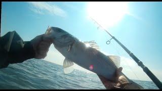 Bass on a Savage gear seeker using the Savage gear bushwhacker.