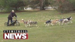 WTVO Eyewitness News for February 10th, 2024 (Full Broadcast)