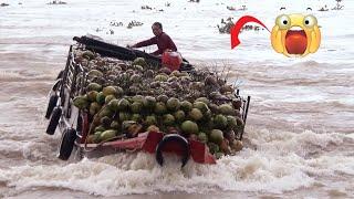 [522] The brave captain took the helm of a boat carrying coconuts and crossed the dam gate