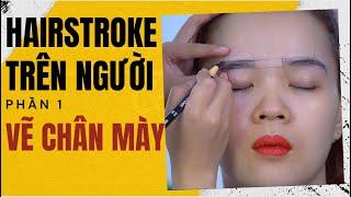 Hairstroke trên người | P1 Cách vẽ chân mày chuẩn | Jolie Nguyen