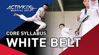White Belt Basics Syllabus 1