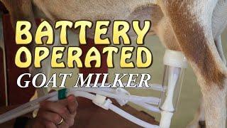 Battery Operated Goat Milker ~ Review ~LINK TO MILKER IN DESCRIPTION