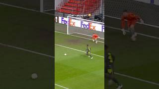 How Did This Not Go In