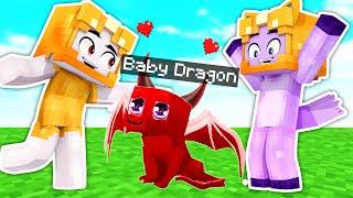 BOXY & FOXY Adopt A BABY DRAGON In MINECRAFT! (LankyBox Minecraft MOVIE!)