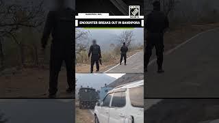 J&K: Encounter breaks out between security forces and terrorists in Bandipora