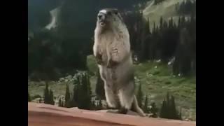 Абдигани