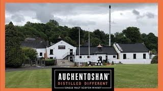 Day 5 - Auchentoshan Distillery