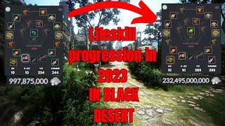 Lifeskill progression in Black Desert in 2023