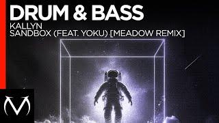 DRUM & BASS // KALLYN // SANDBOX (FEAT. YOKU) [MEADOW REMIX]